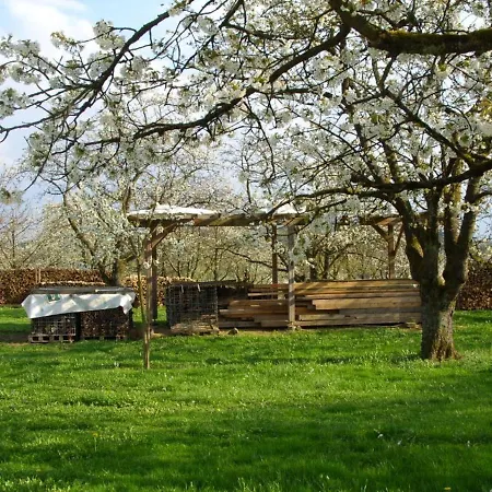 Williams Vendégház