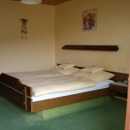 Guest house Williams 3*