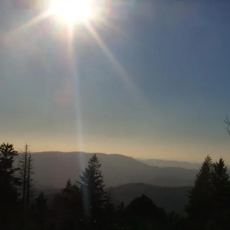 Vendégház Williams