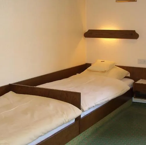 Guest house Williams 3*