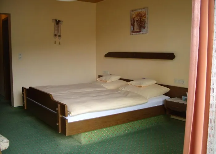 Guest house Williams 3*