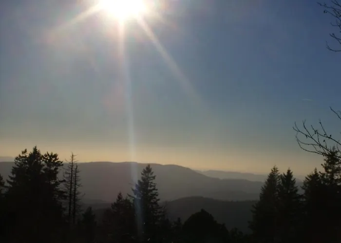 Guest house Williams