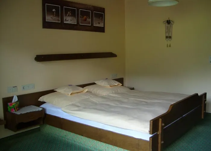 Guest house Williams 3*