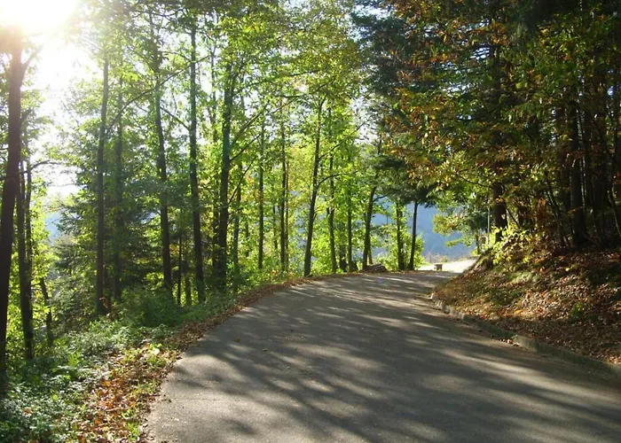 Williams Guest house