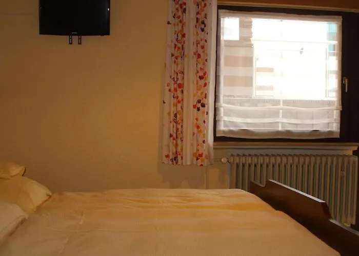 Williams Guest house 3*