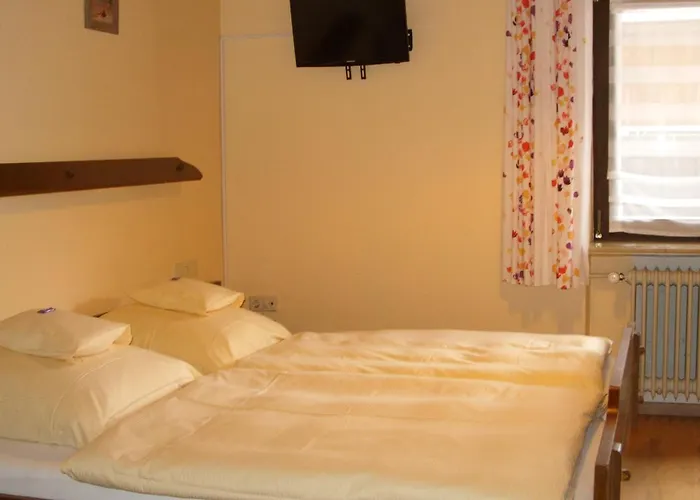 Williams Guest house